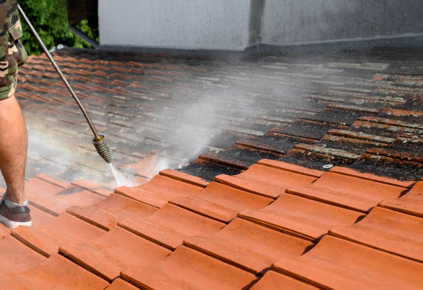 Best Residential Pressure Washing Services  in Frederic, WI
