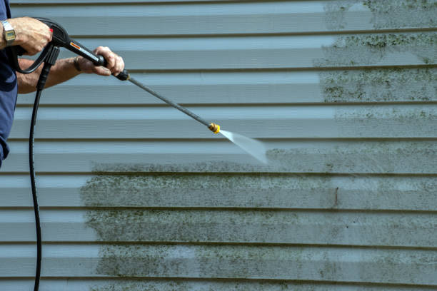 Best Roof Power Washing Services  in Frederic, WI
